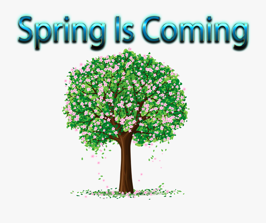 Spring Is Coming Png Image Download - Transparent Background Flower Tree Png, Transparent Clipart
