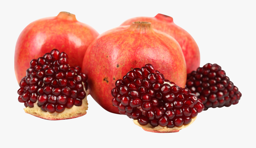 pomegranate png anar kandahar free transparent clipart clipartkey pomegranate png anar kandahar free