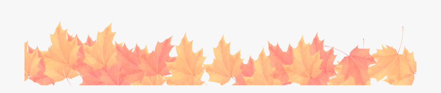 Maple Leaf, Transparent Clipart