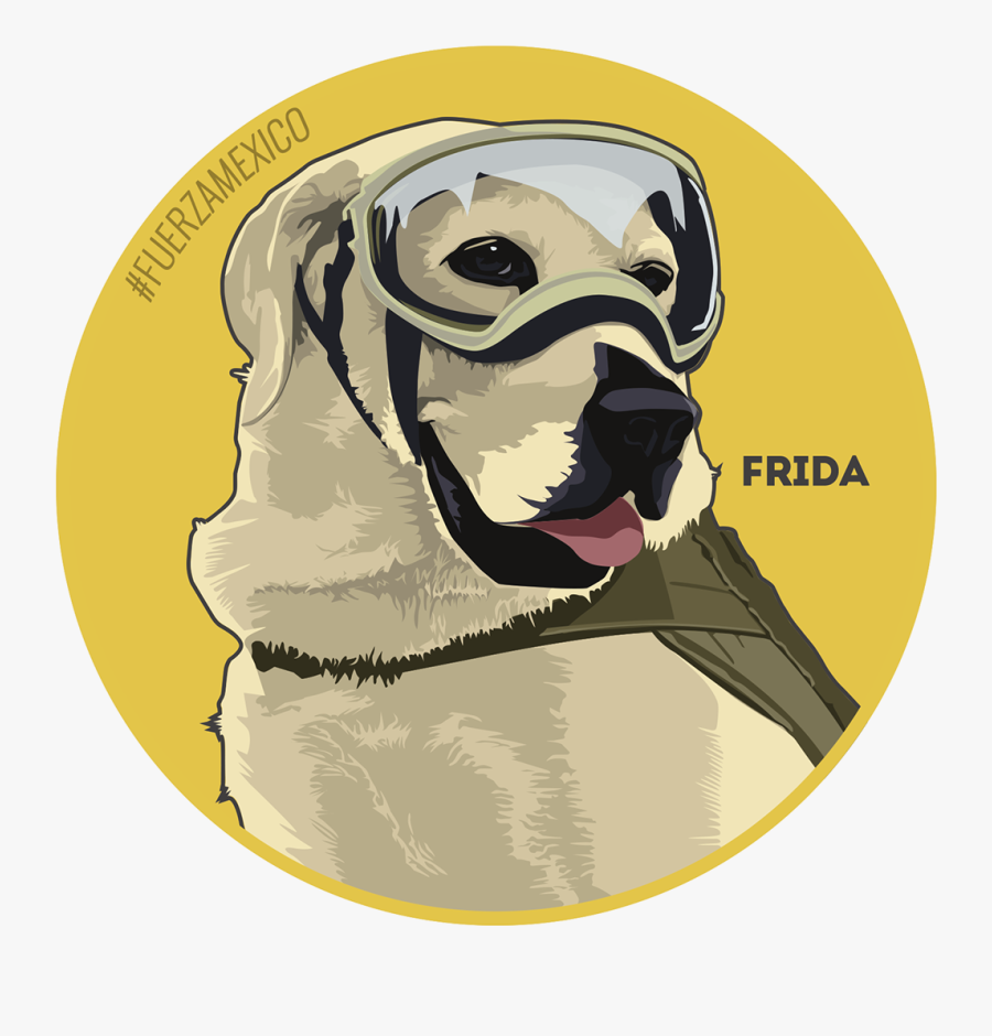 Dogs Vector Low Poly - Pug, Transparent Clipart
