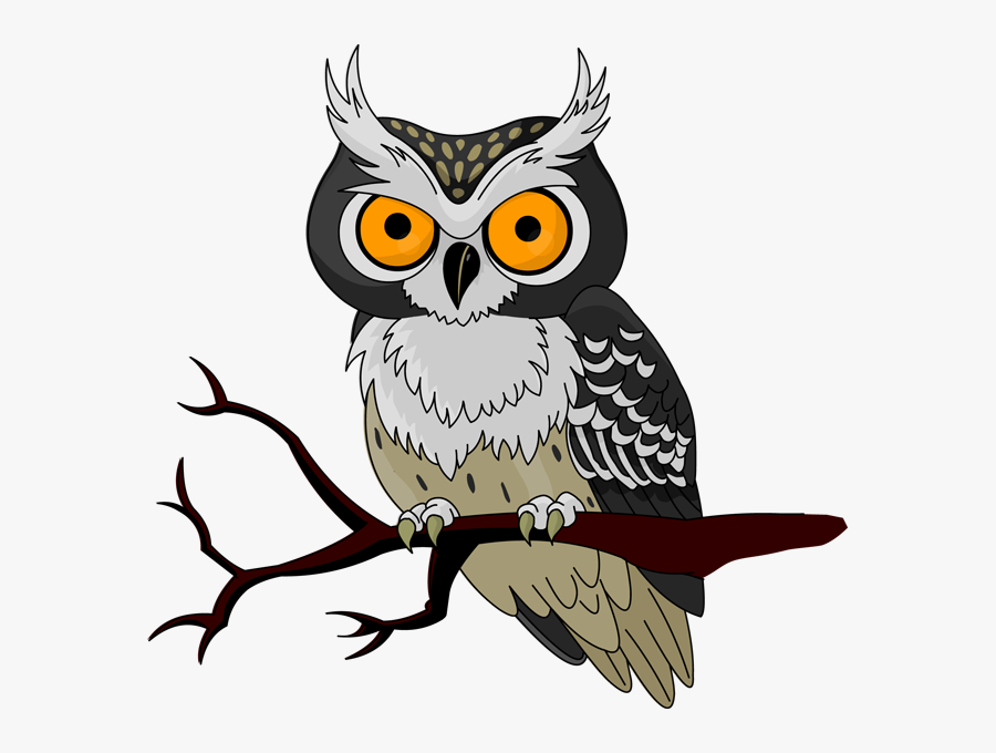 Transparent Horrible Clipart - Night Owl Vector, Transparent Clipart