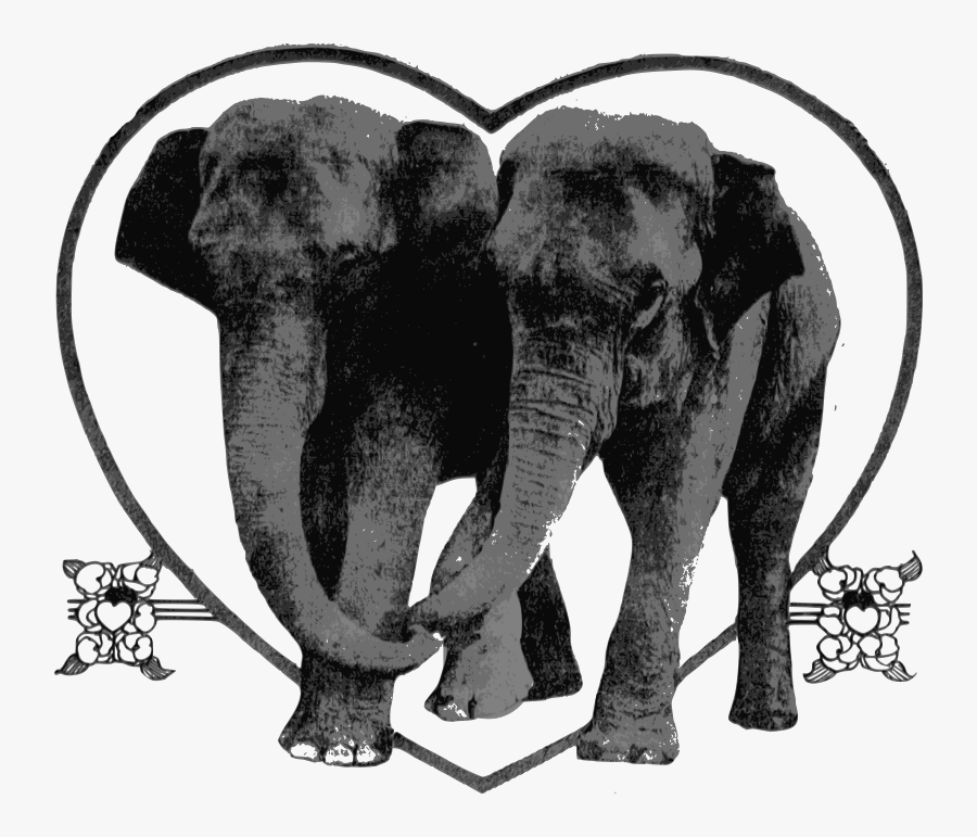Art Elephant Lover, Transparent Clipart
