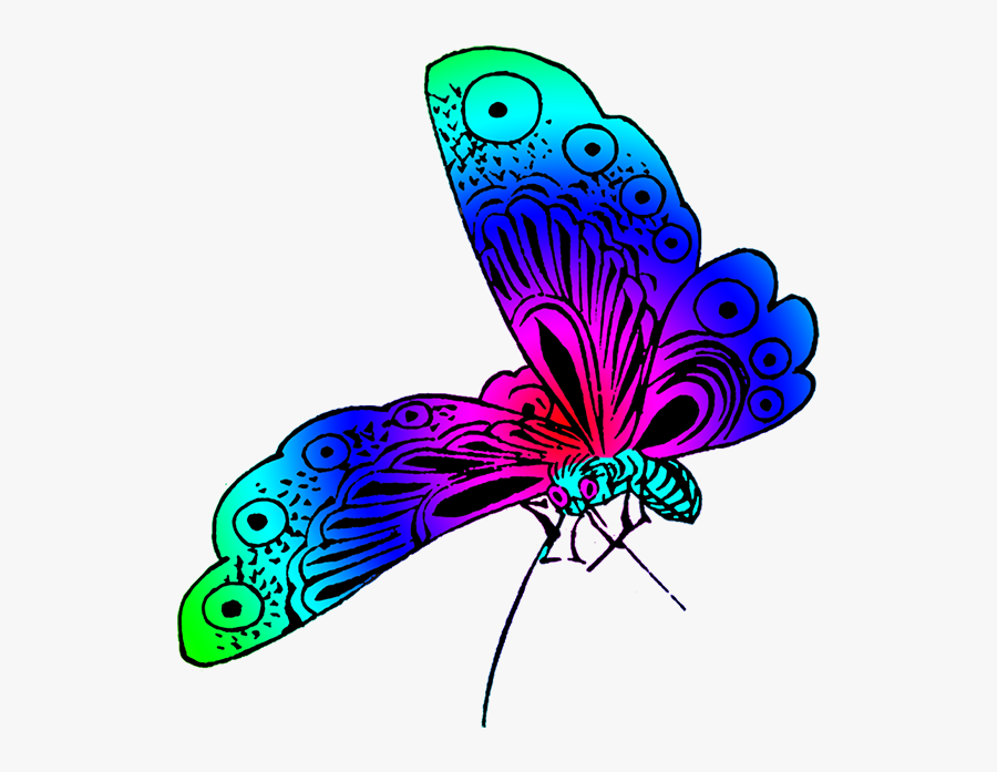 Wonderful Colored Japanese Butterfly - Beautiful Color Of Butterfly, Transparent Clipart