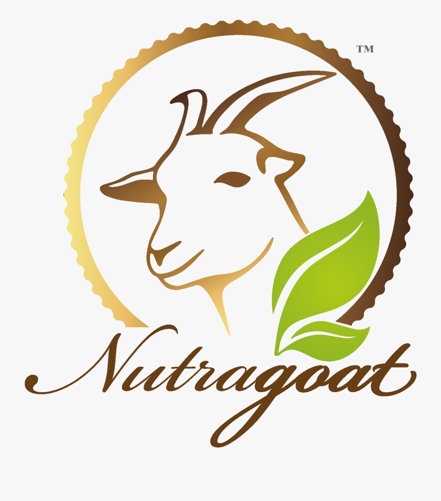 Plain Monthly Subscription Nutragoat - Certified Public Accountant Logo, Transparent Clipart