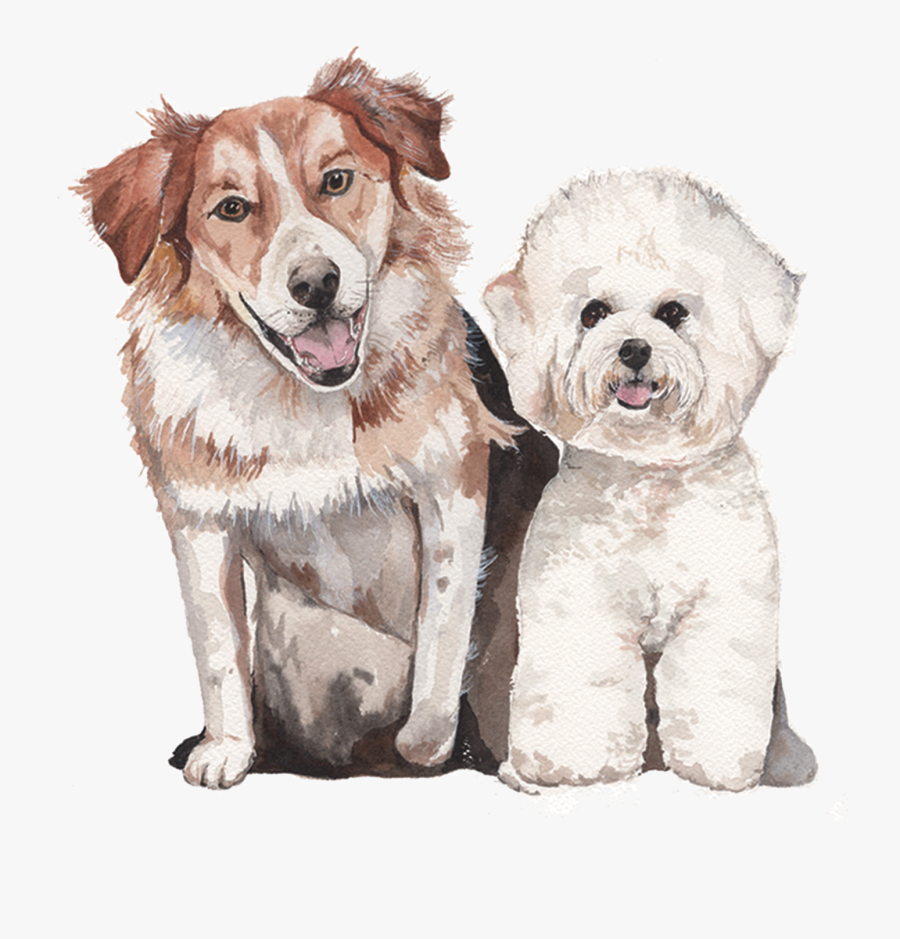 Dog Clipart Watercolor - Bichon Frise Dog Watercolor Png, Transparent Clipart