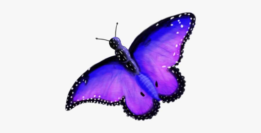 Collection Of Free Butterflies - Transparent Background Enchanted Butterfly Clipart, Transparent Clipart