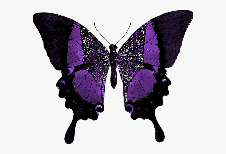 Butterfly Quotes Your Wings Are Ready, Transparent Clipart