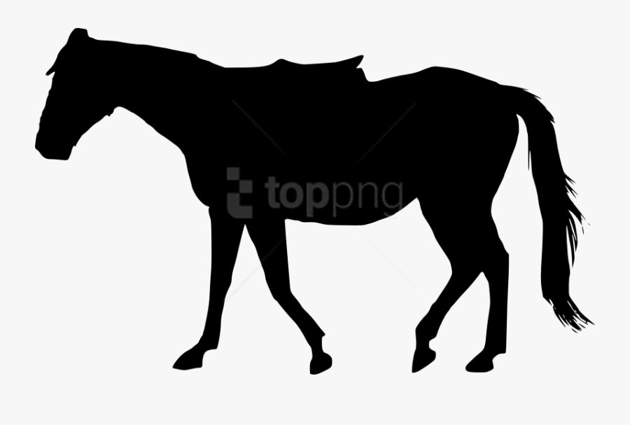 Horse Silhouette Transparent Background, Transparent Clipart