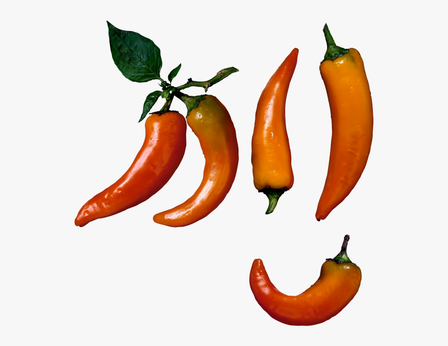 Download High Resolution - Chili Pepper, Transparent Clipart