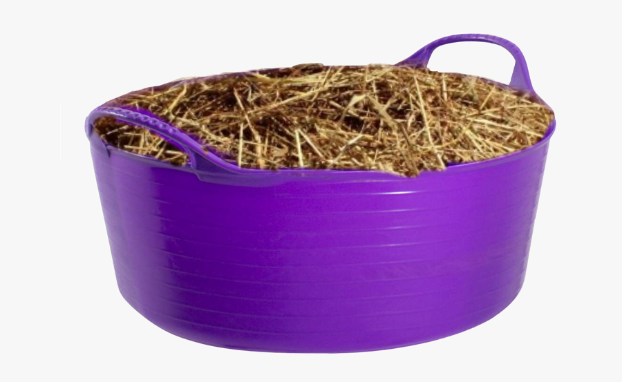 Feed Sso Horse Bucket Hay , Free Transparent Clipart ClipartKey