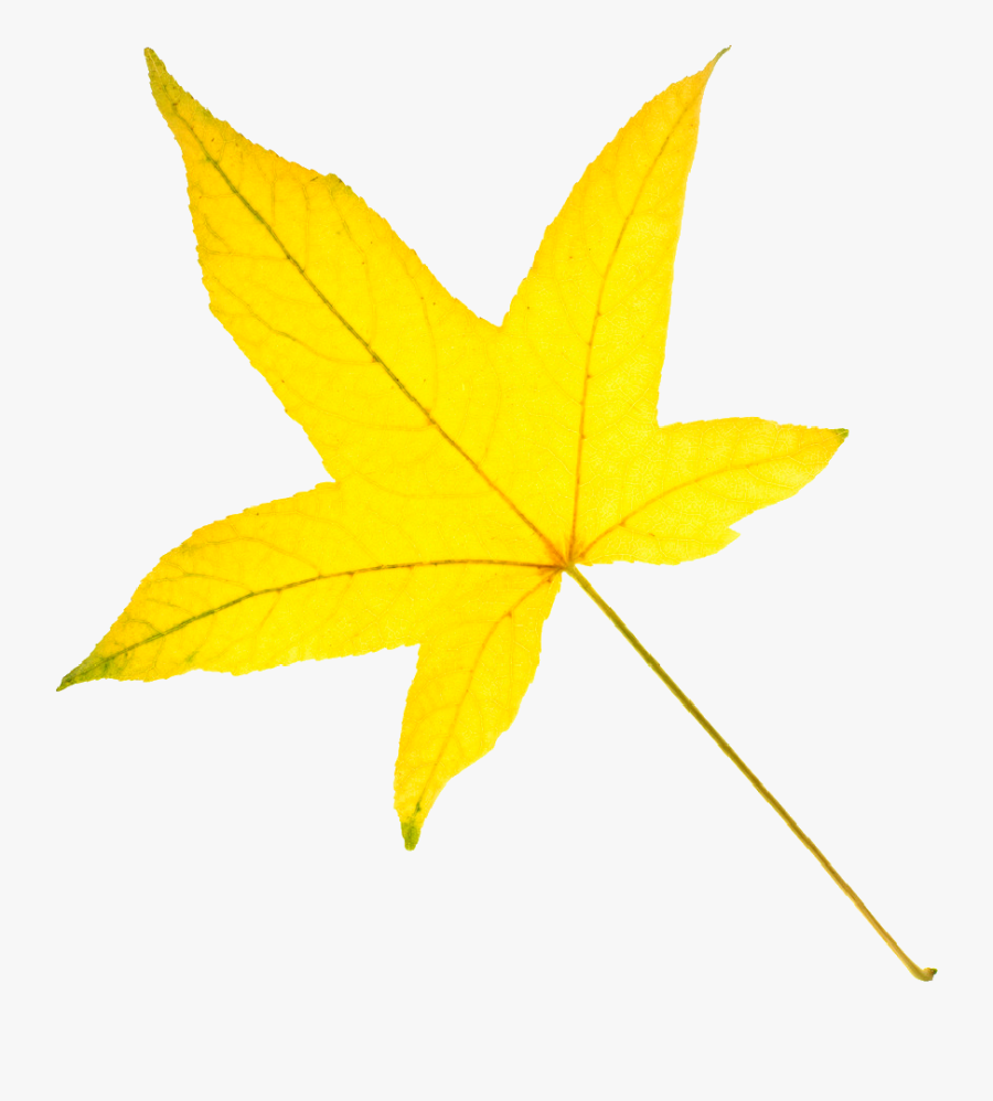 Yellow Leaf Clipart - Yellow Leaf, Transparent Clipart