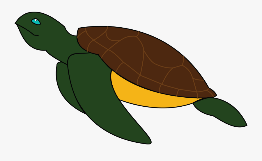 Green Sea Turtle Clipart , Png Download - Cryptococcus Neoformans ...