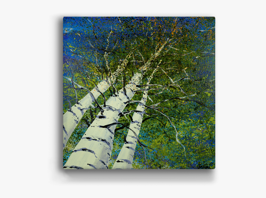 Transparent Aspen Tree Png - Nancy Seiler Meissenburg Design Trees, Transparent Clipart