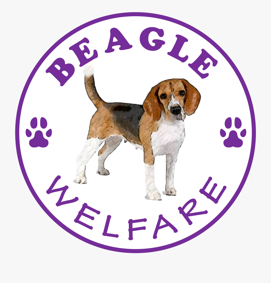 Beagle Welfare Stop Being A Pussy Rip N - Dog, Transparent Clipart