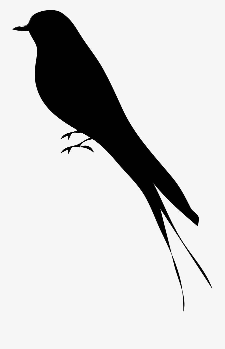 Mockingbird Silhouette Png, Transparent Clipart