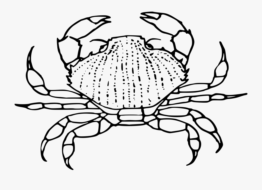 Crab Big Image Png - Black And White Crab Clipart, Transparent Clipart