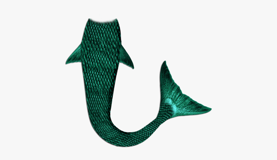 Mermaid Tail Png Transparent, Transparent Clipart