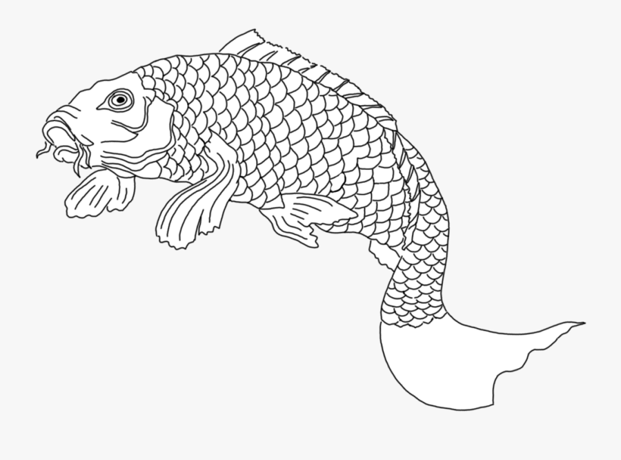 Fish Png White Koi - Fish White Transparent Png, Transparent Clipart