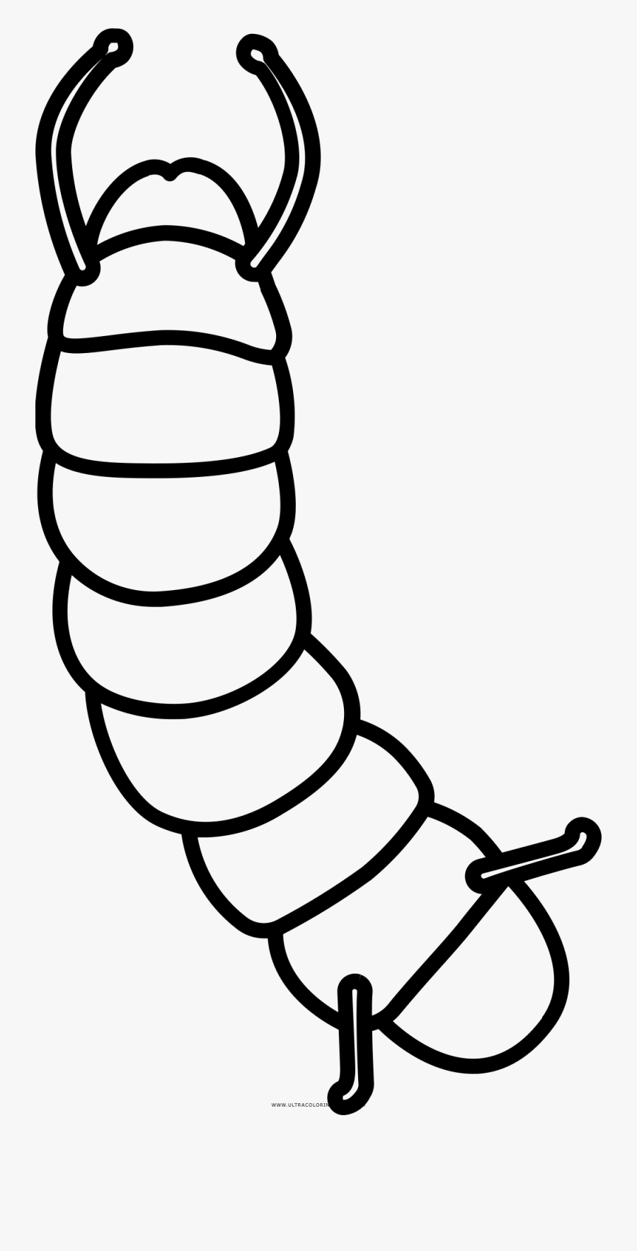 Black And White Outline Of A Silkworms, Transparent Clipart