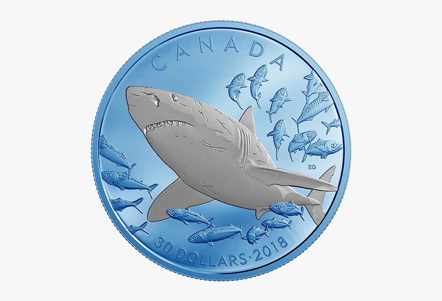 Canada Coin Shark, Transparent Clipart