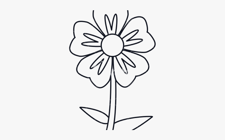 Flower Outline Images - Geranium Flower Outline, Transparent Clipart