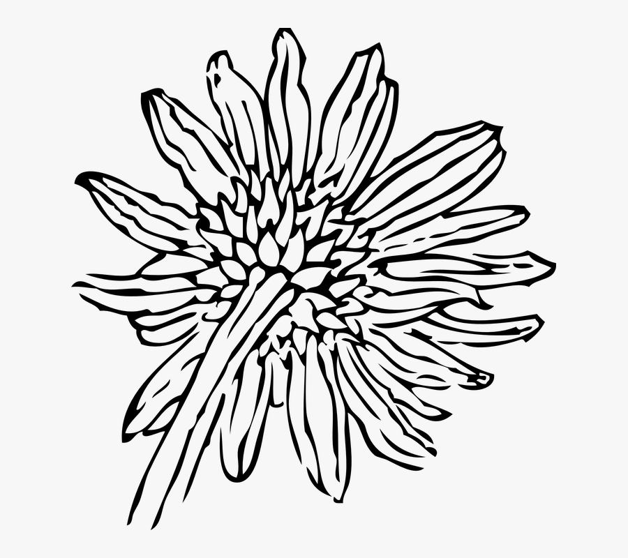 Free Free 168 Outline Simple Sunflower Clipart SVG PNG EPS DXF File
