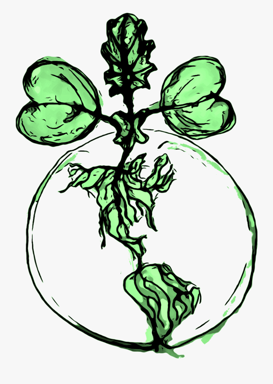 Backyardharvestlogo, Transparent Clipart