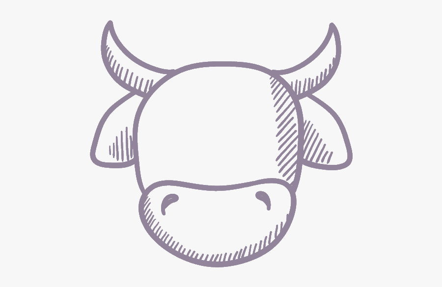 Drawing Of Cow Head, Transparent Clipart