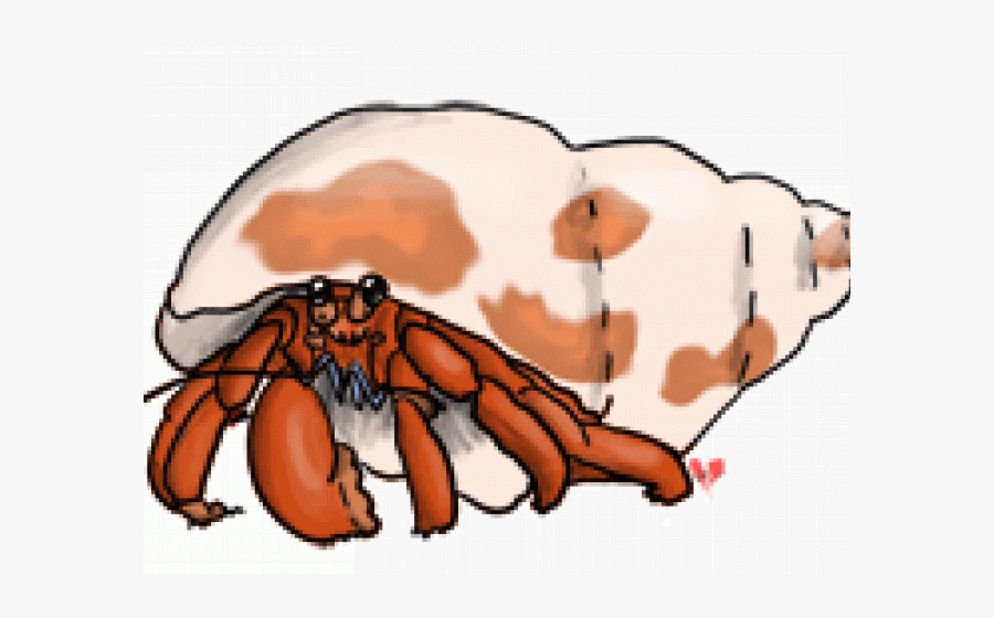 Hermit Crab Clipart Fish - Insect, Transparent Clipart