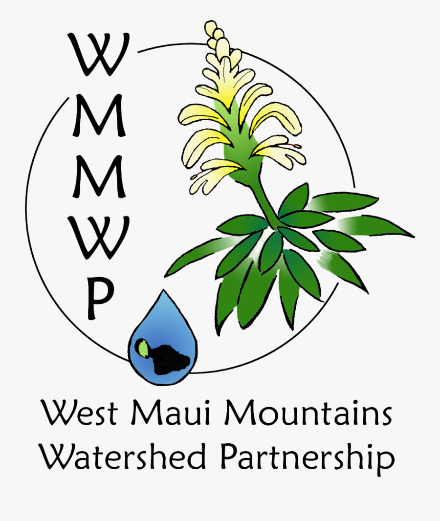 West Maui Watershed Partnership, Transparent Clipart