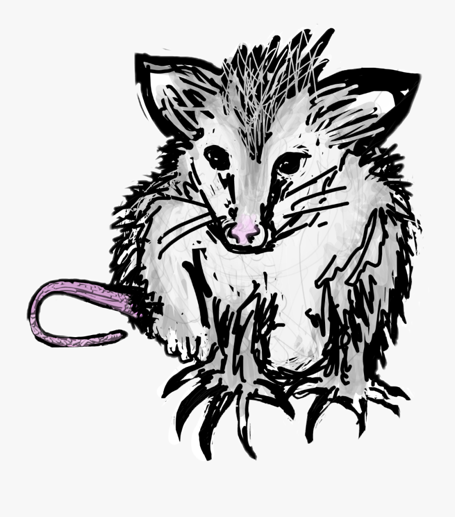 O To The Mthafkn Possum - Mouse, Transparent Clipart