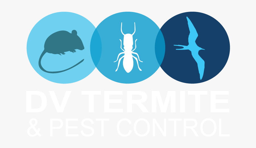 Diamond Valley Termite And Pest Control - Illustration, Transparent Clipart