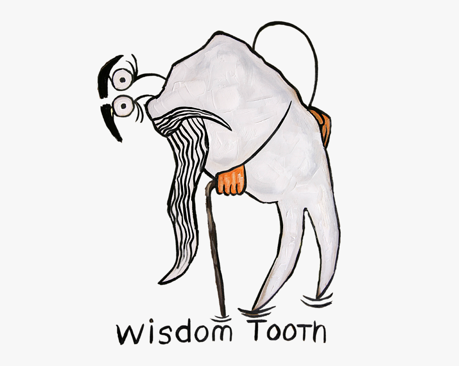 Wisdom Tooth, Transparent Clipart