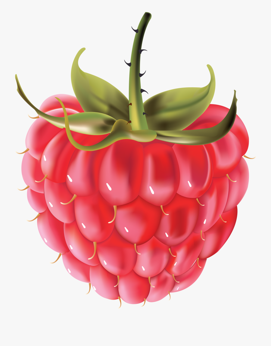 Rraspberry Png Image - Raspberries Vector, Transparent Clipart