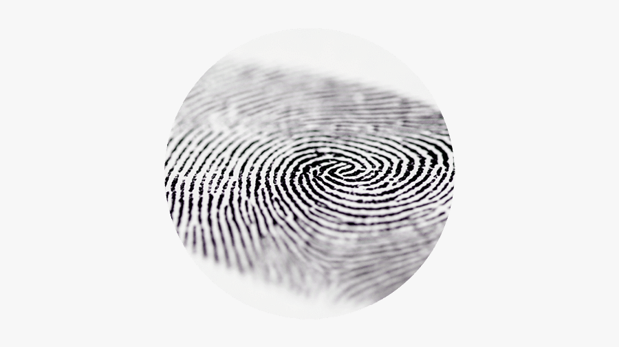 Fingerprint Technology, Transparent Clipart