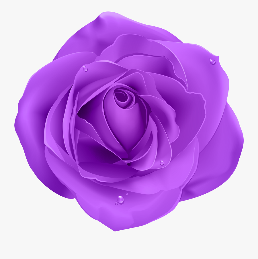Purple Rose Clip Art , Free Transparent Clipart - ClipartKey
