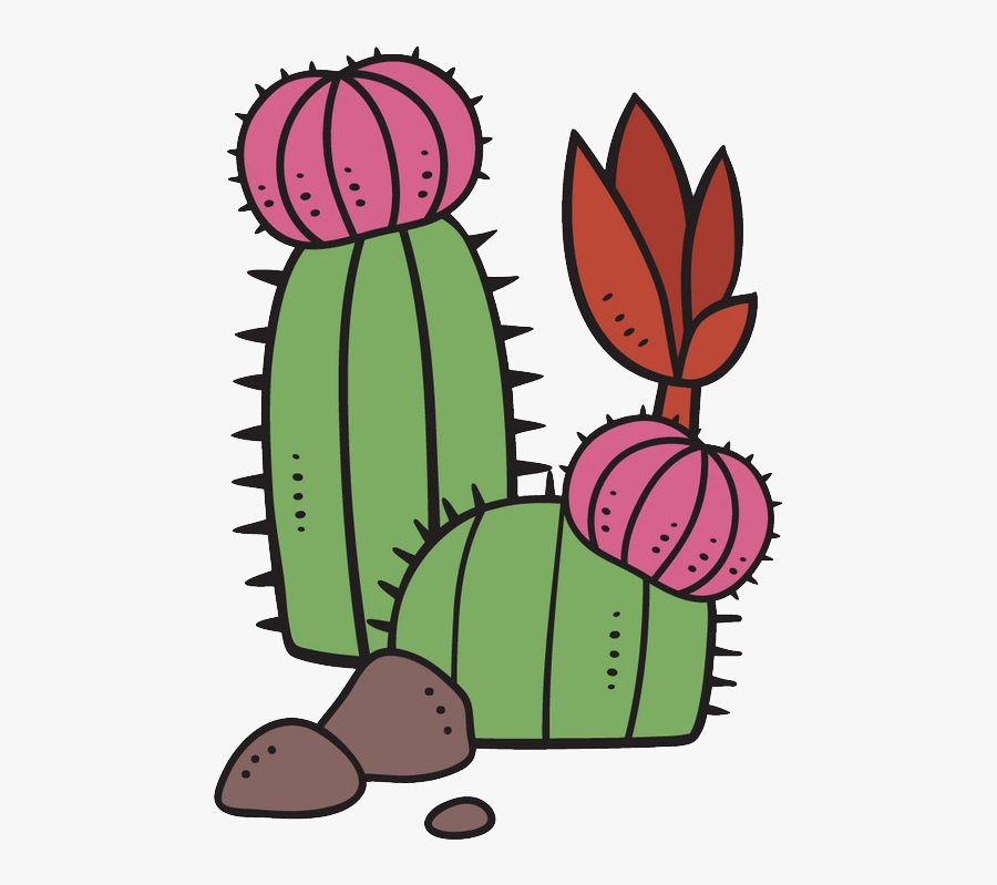 Succulent Plant Cartoon Cactaceae - Succulent Plant, Transparent Clipart