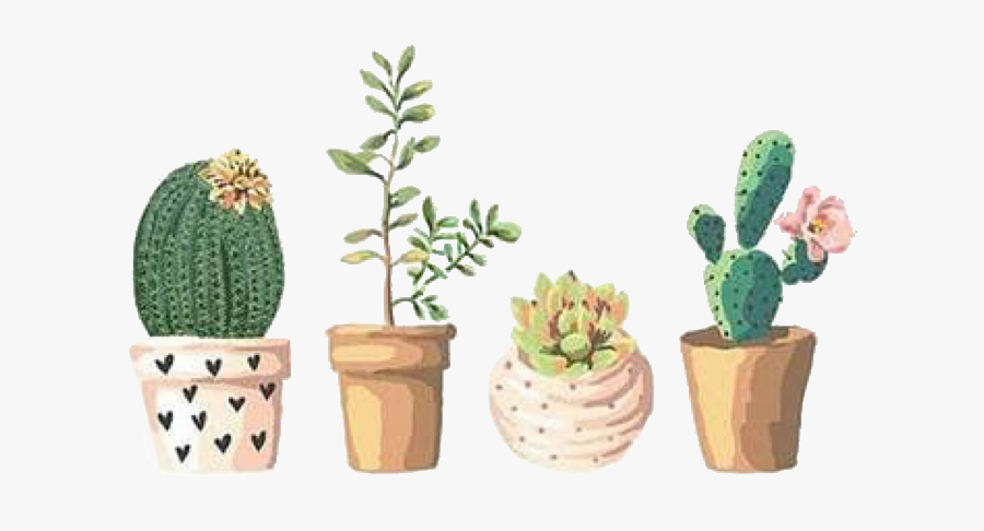 #plants #succulents #stickers #cute #green #free #freetoedit - Cute Succulents Stickers, Transparent Clipart