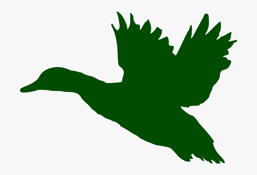 A Sporting Chance Guide - Flying Duck Silhouette Png, Transparent Clipart