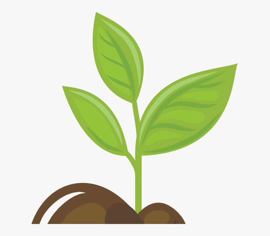 Growing Plants Animation Png , Free Transparent Clipart - ClipartKey