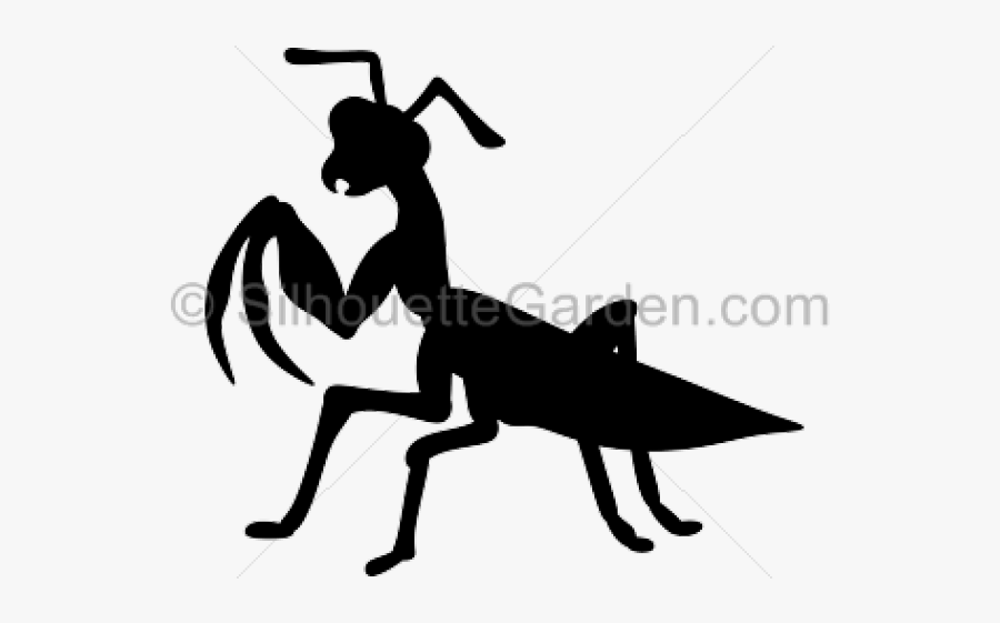 Bug Clipart Boll Weevil - Praying Mantis Silhouette, Transparent Clipart