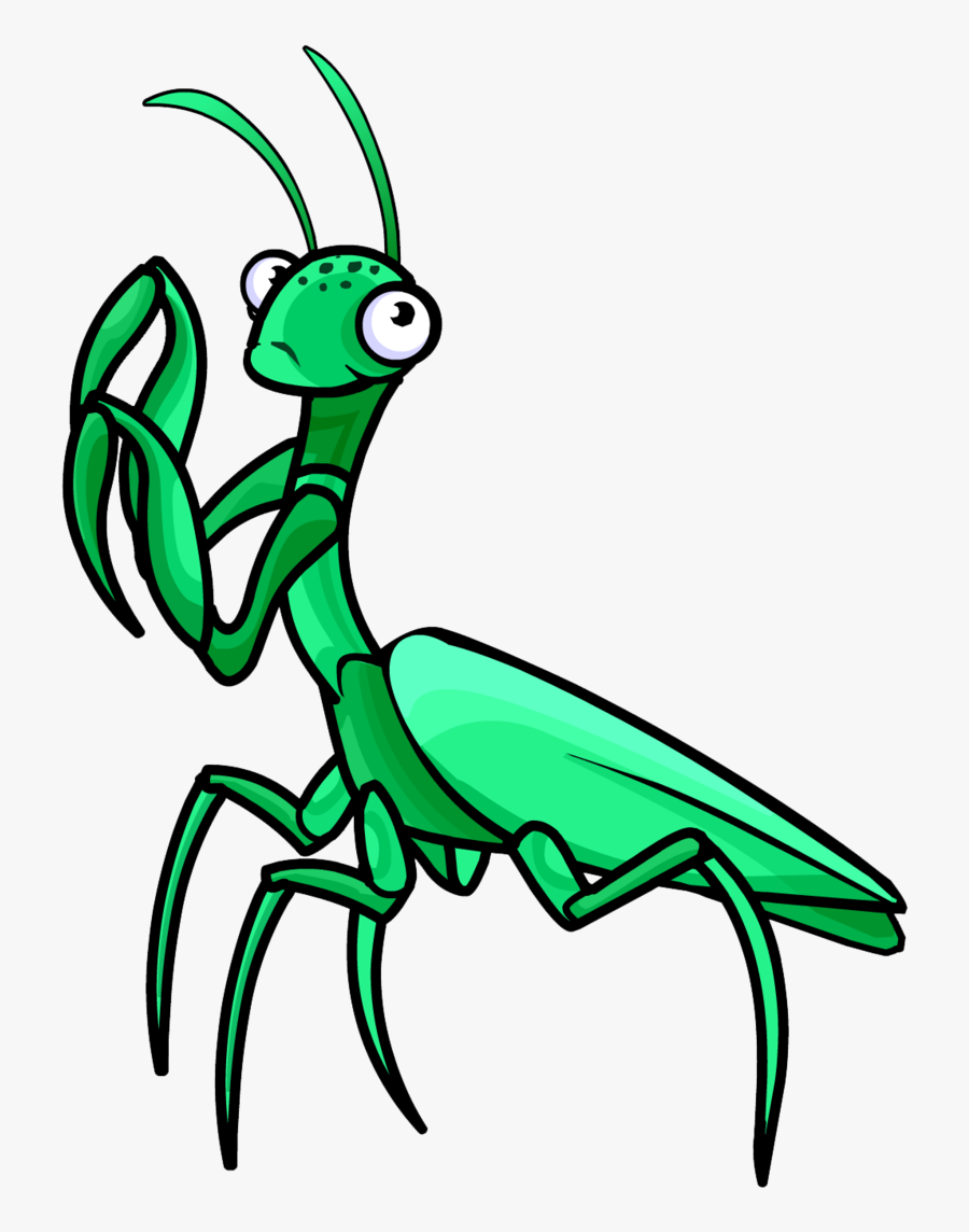 Praying Mantis Clipart Png, Transparent Clipart