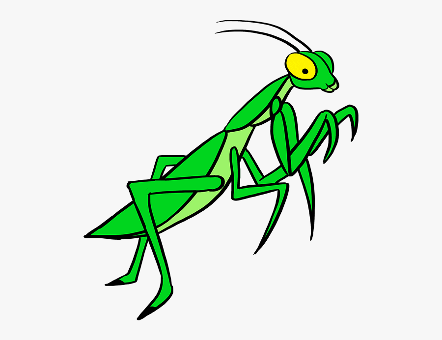 How To Draw Praying Mantis - Cartoon , Free Transparent Clipart