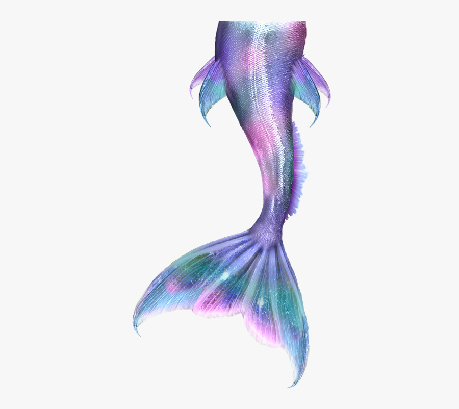 Download Ariel Vector Merman - Mermaid Tails Drawing , Free ...