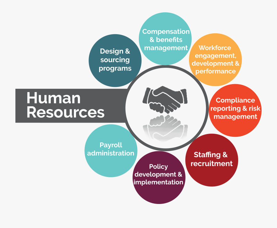 Clip Art Human Resource Images - Human Resources, Transparent Clipart