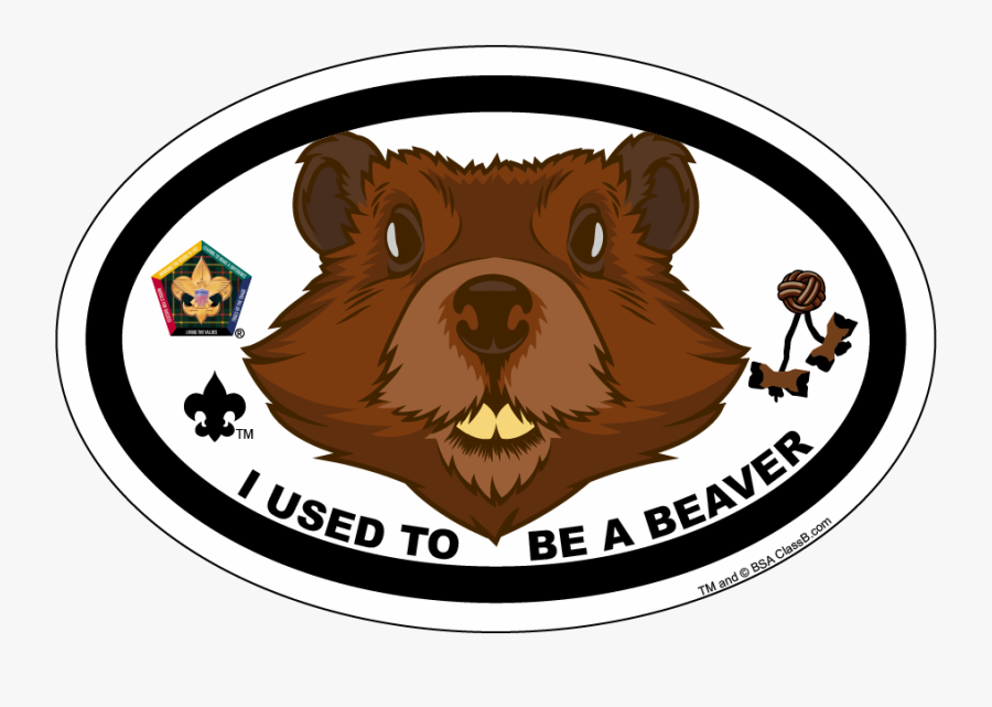 Wood Badge Eagle Car Magnet, Transparent Clipart