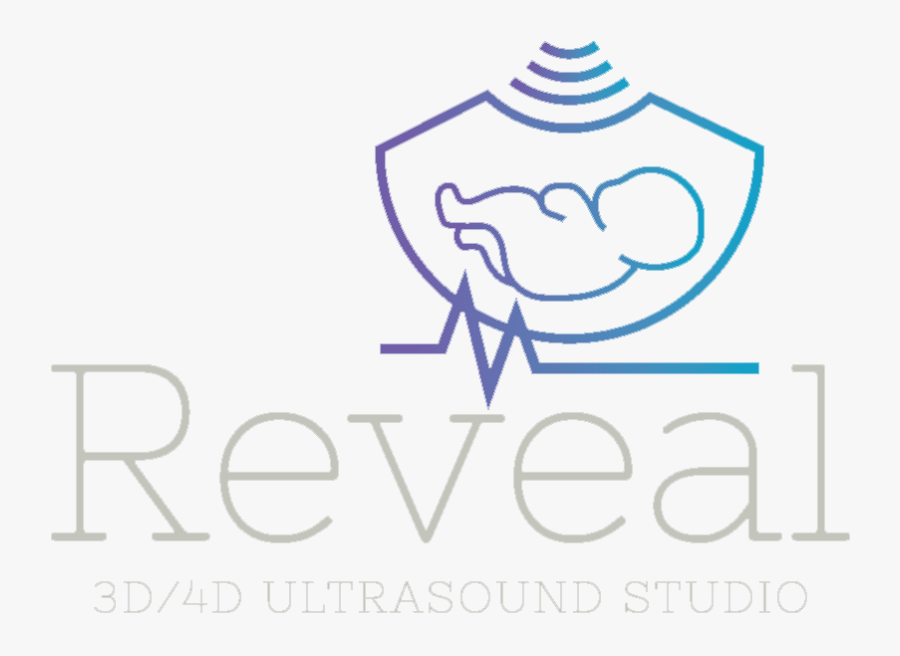 Reveal Finaltransparent - Logo De Materno Fetal, Transparent Clipart