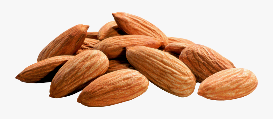 Download Almond Png Image - Almond Oil For Dark Circles In Urdu, Transparent Clipart