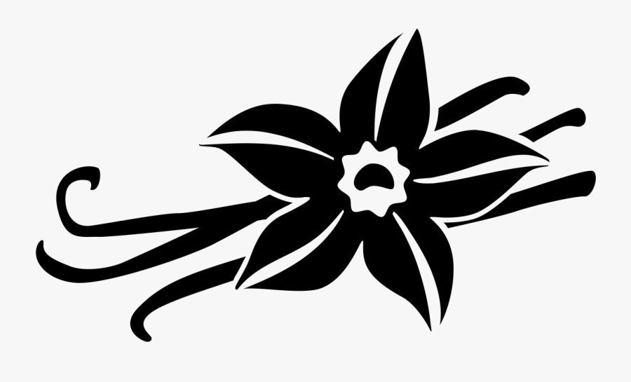 Black And White Vanilla Flower , Free Transparent Clipart - ClipartKey