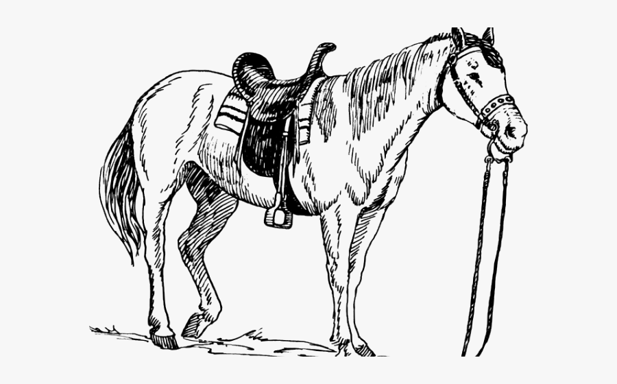 horse with saddle coloring page  free transparent clipart